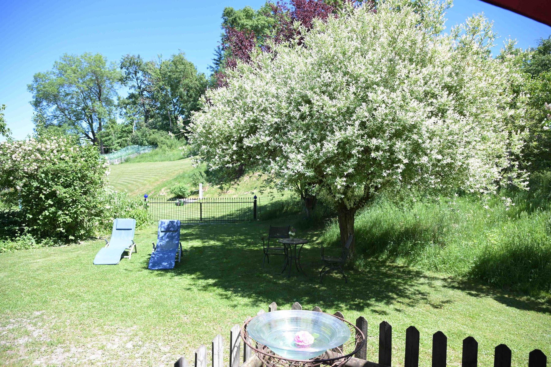 Gartenbereich der Ferienwohnungen